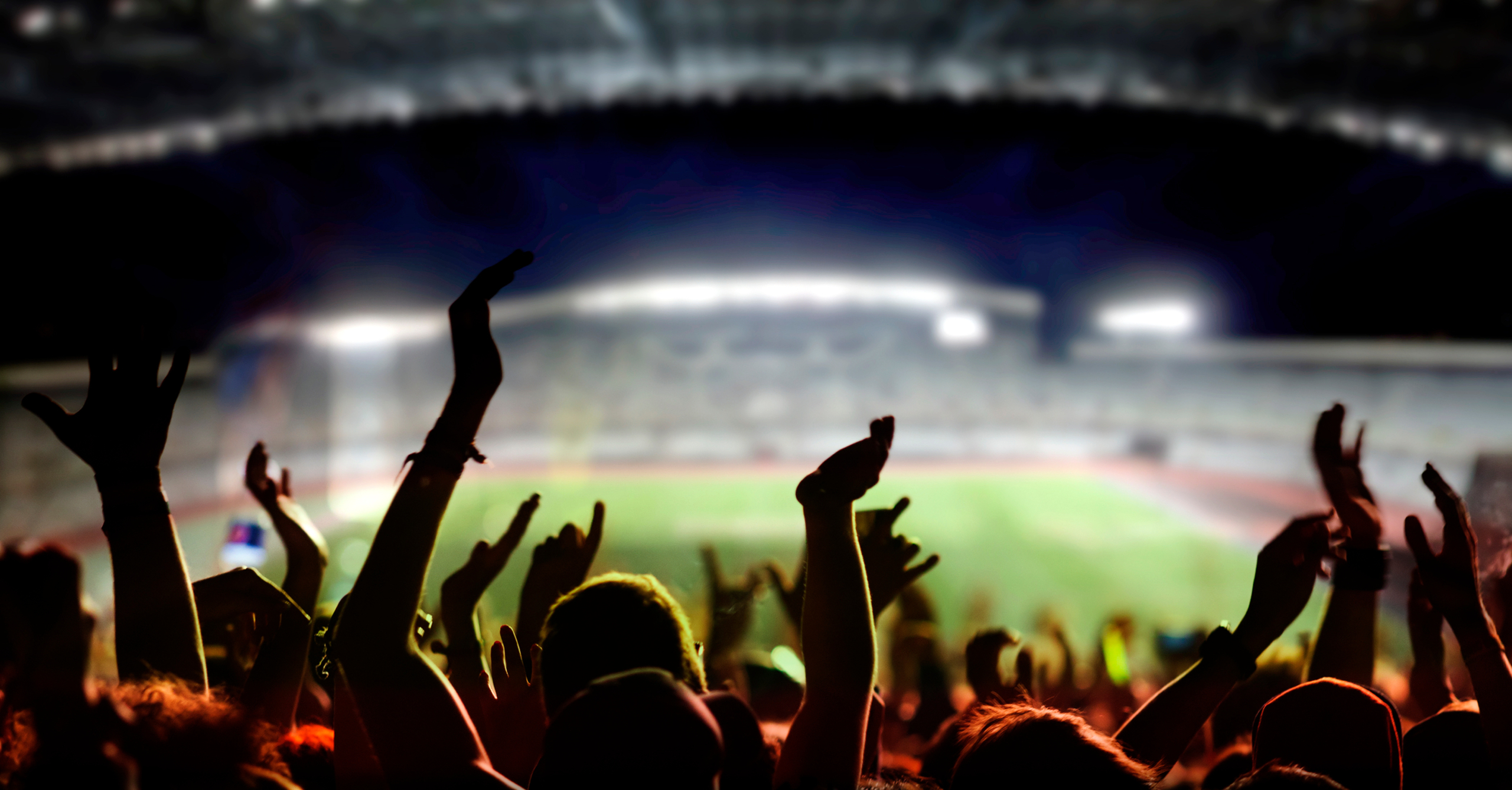 football or soccer fans at a game in a stadium